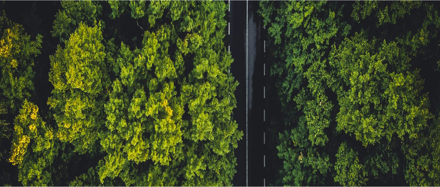 fondo de trayectoria